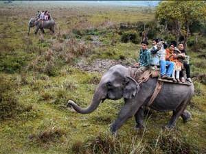 kaziranga national park reopening 2015