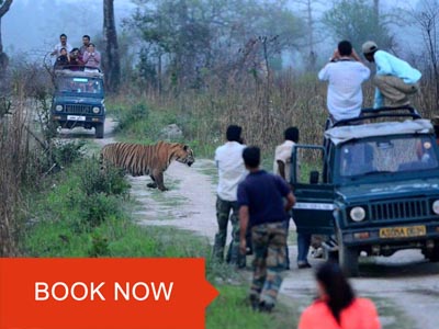 kaziranga jeep safari online booking