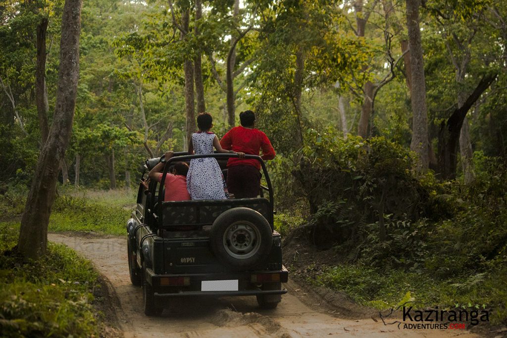 kaziranga national park jeep safari